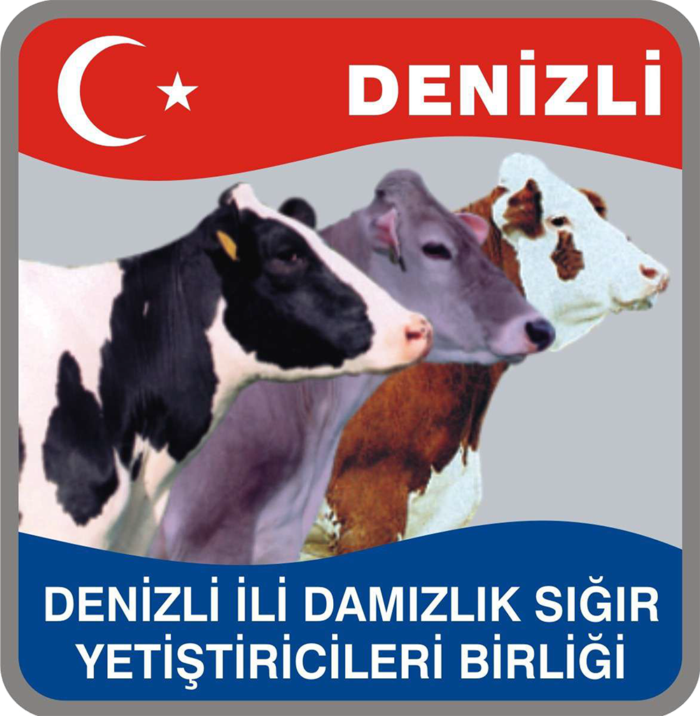 DENİZLİ İLİ DAMIZLIK SIĞIR YETİŞTİRİCİLERİ BİRLİĞİ
